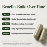 GLP-1 SOS™ Digestive Support for Ozempic Wegovy Mounjaro Zepbound Users – Constipation, Sulfur Burps, Bloating, Fatigue – Magnesium, Ginger, 19-Strain Probiotic, B12 – Physician-Formulated – 60 Caps - Image 3