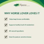 HEIRO Healthy Equine Nutritional Supplement for Horses, Herbal Blend with Magnesium and Vitamin E, Daily Metabolic Support Formula, Feed Powder, 90 Servings - Image 3