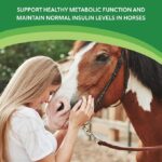 HEIRO Healthy Equine Nutritional Supplement for Horses, Herbal Blend with Magnesium and Vitamin E, Daily Metabolic Support Formula, Feed Powder, 90 Servings - Image 4